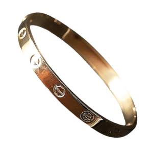Bracelet Cartier Love femme élégant en acier inoxydable – bijoux et accessoires de mode en Algérie